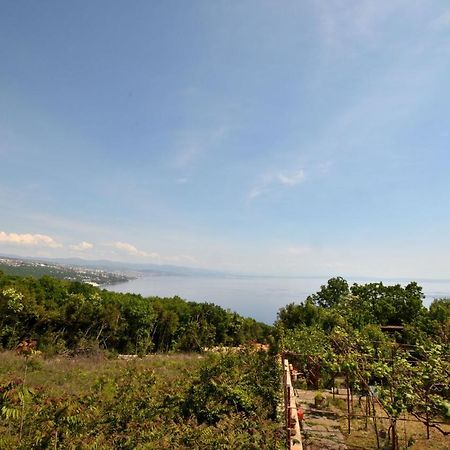 House Pobri Villa Opatija Luaran gambar